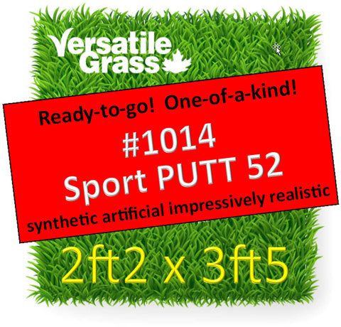 Piece #1014 Sport PUTT 52 2ft2 x 3ft5 synthetic artificial grass ELM