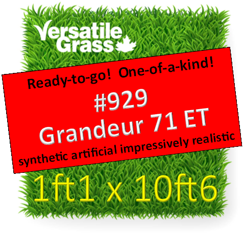 Piece #929 Grandeur 71 ET Synthetic Artificial Grass 1ft1 x 10ft6 SStor