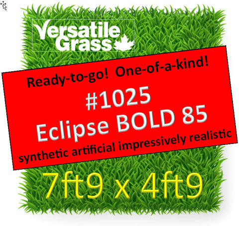 Piece #1025 Eclipse BOLD 85 2"  7ft9 x 4ft9 synthetic artificial grass SSTOR