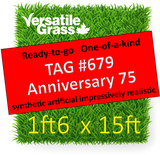 TAG#679 Grandeur Anniversary 75 Synthetic Artificial Grass 1ft6 x 15ft SStor