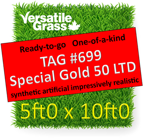 TAG#699 Special Gold 50LTD Synthetic Artificial Grass 5ft x 10ft