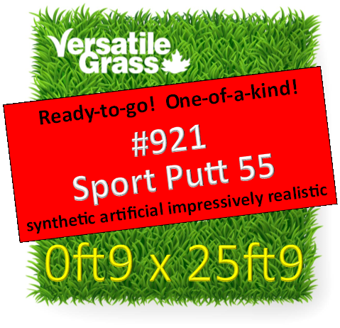 Piece #921 Sport PUTT 55 Synthetic Artificial Grass  9.5 INCH x 25ft9 Elm