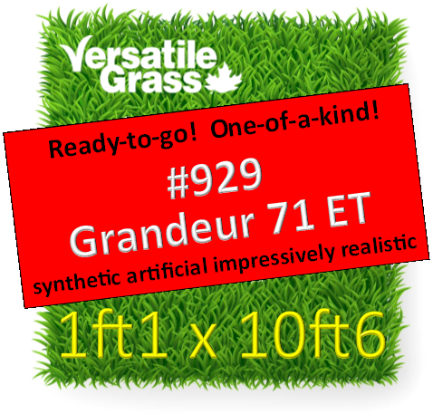 Piece #929 Grandeur 71 ET Synthetic Artificial Grass 1ft1 x 10ft6  SStor