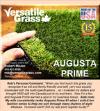 Piece #1257 Augusta Prime 90  5ft3 x 5ft9 synthetic artificial grass SSTOR