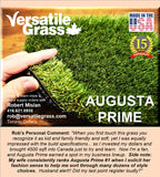 Piece #1259 Augusta Prime 90  2ft0 x 3ft9 synthetic artificial grass SSTOR