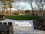 Piece #1400 DoubleSOFT 96 1ft9 by 4ft1 synthetic artificial grass  SSTOR