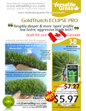 TAG#731 Eclipse Pro Synthetic Artificial Grass 3ft9 x 8ft4 Elm