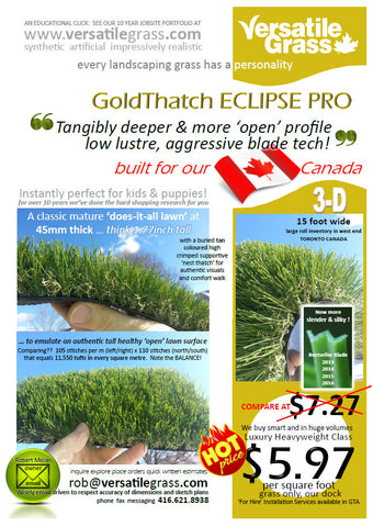Piece #746 Eclipse Pro 3ft0 x 10ft0 synthetic artificial grass ELM