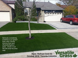TAG#836 Refined Gold 82 Synthetic Artificial Grass 3ft2 x 10ft2 Elm