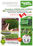 Piece #876 Fineblade Hybrid Synthetic Artificial Grass 3ft5 x 2ft4 Elm