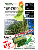 TAG#568 Grandeur 65 Synthetic Artificial Grass 4f6 x 7ft5 Elm