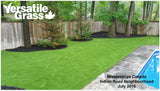 Piece #1003 FineBlade Hybrid 2ft2 x 4ft0 Synthetic Artificial Grass ELM