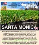 Piece #1242 Santa Monica 77 3ft10 x 2ft9 synthetic artificial grass  ELM