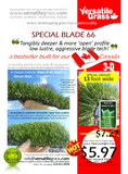 Piece #875 Special Blade 66 Synthetic Artificial Grass 1ft4 x 20ft0 Elm