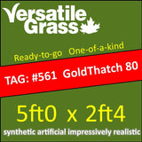TAG#561 GoldThatch 80 Harmonized HR Synthetic Artificial Grass 5ft x 2ft4 Elm