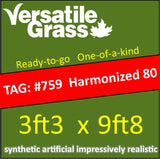 TAG#759 GoldThatch 80 Harmonized Surface Synthetic Artificial Grass 3ft3 x 9ft8 Elm