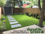 TAG#769 Champion Blade 103 Synthetic Artificial Grass 4ft x 2ft11 Elm