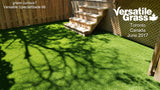 TAG# 846 Special Blade 66  Synthetic Artificial Grass 6ft x 2ft9 Elm
