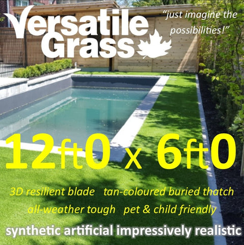 12ft x 6ft Multi Usage Synthetic Artificial Grass