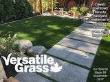Piece #973 Special Blade 66 1ft1 x 14ft3 Synthetic Artificial Grass Elm
